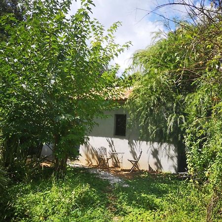 Villa Griseor Porto-Vecchio  Exteriér fotografie