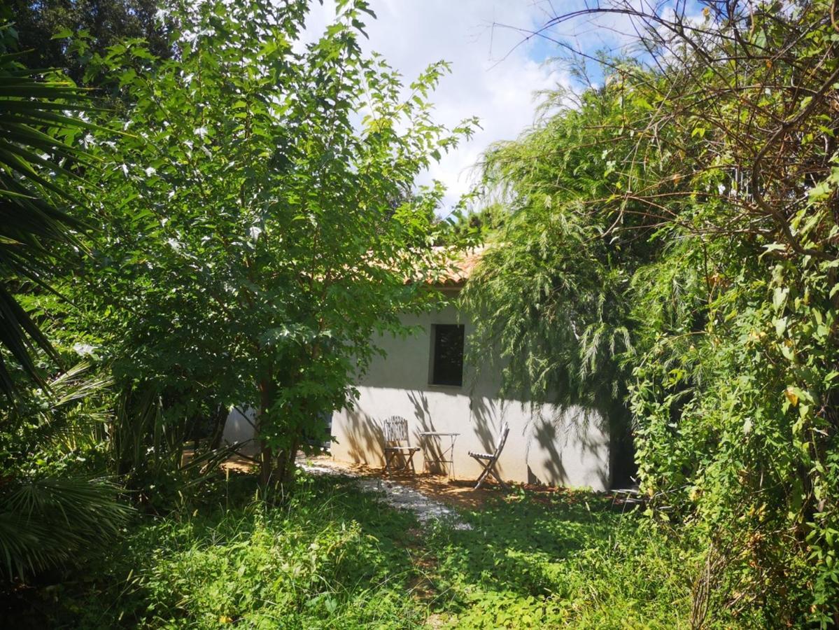 Villa Griseor Porto-Vecchio  Exteriér fotografie