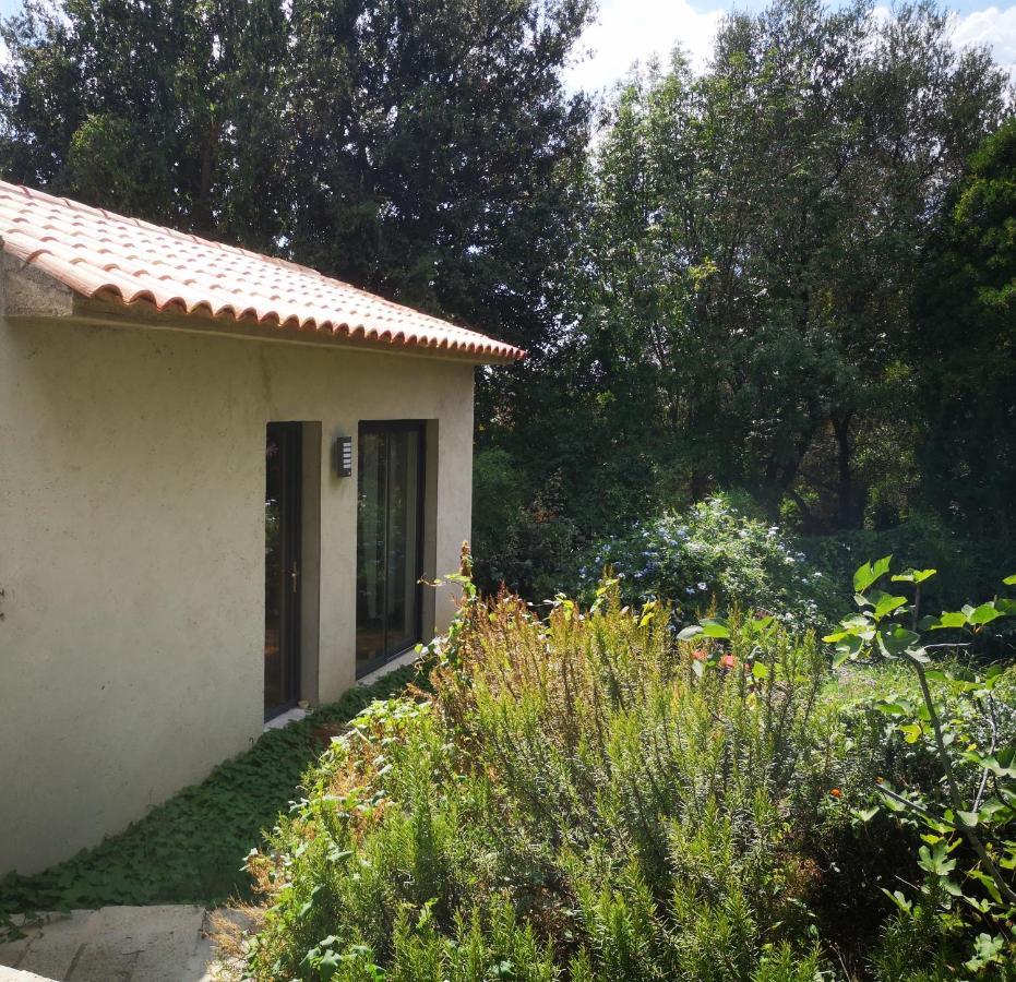 Villa Griseor Porto-Vecchio  Exteriér fotografie